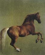 George Stubbs, whistlejacket